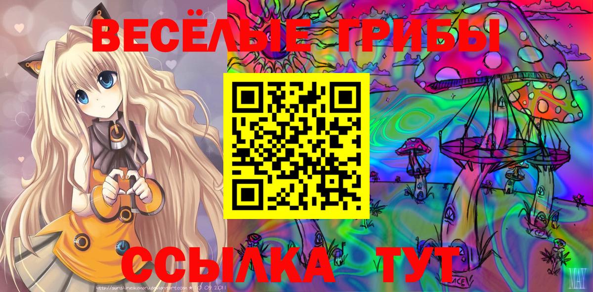 Псилоцибиновые грибы GOLDEN TEACHER  закладки  Галлюциногенные грибы GOLDEN TEACHER  Тулун  Вход с VPN 